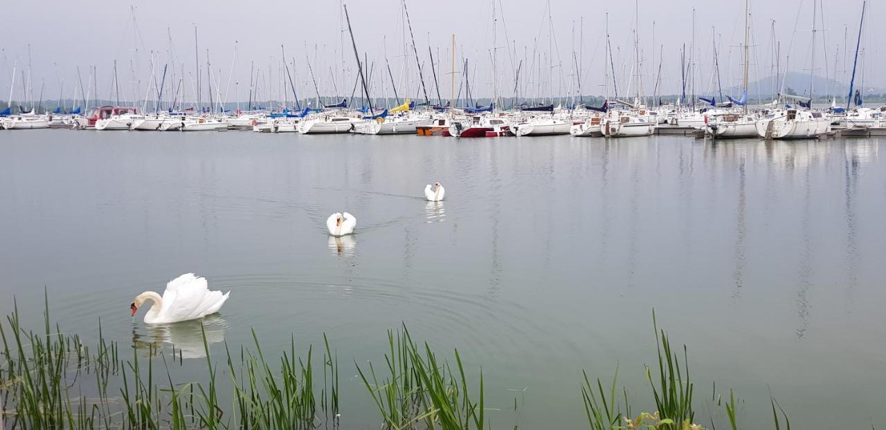 Gite Du Toilier Thillot-sous-les-Côtes エクステリア 写真